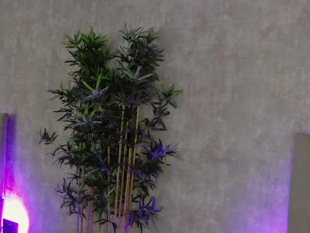 Offline AmisRayy on BongaCams