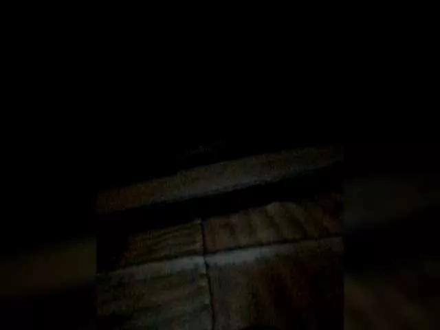 Offline Iriska2025 on BongaCams