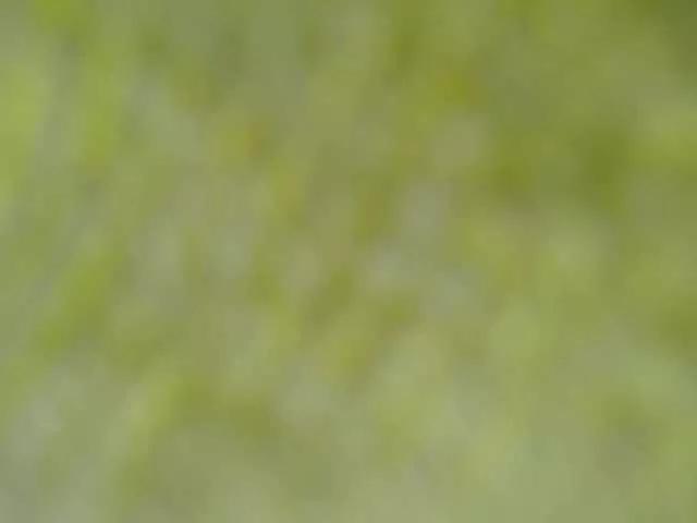LorennaBrown69 on BongaCams