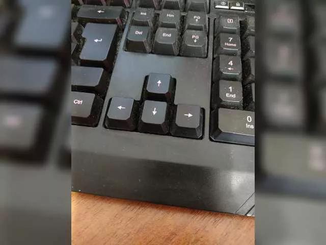 Lybimka18