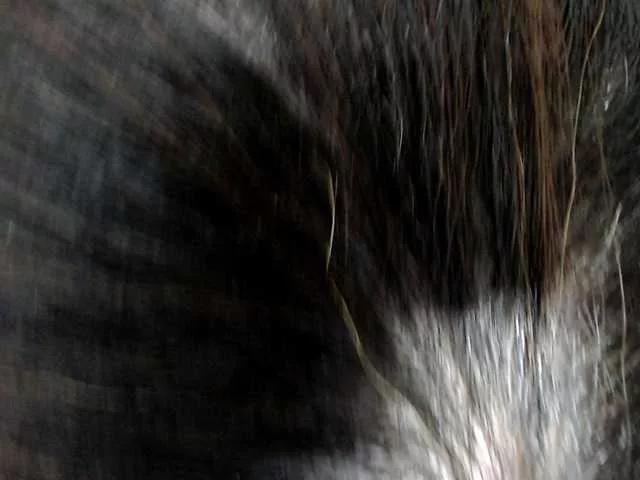 Offline Manazahot99 on BongaCams