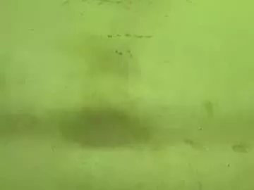 tamanna02 on Chaturbate 