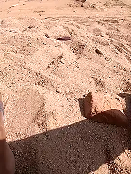 Babli_sharma — Freechat on StripChat