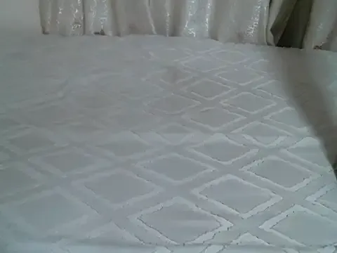 Private Hotellen on StripChat