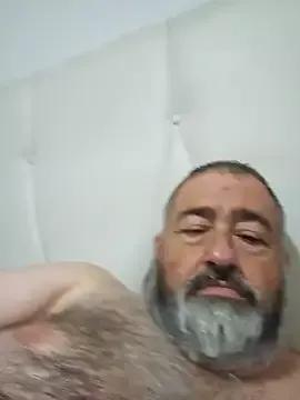 polla_calientes47