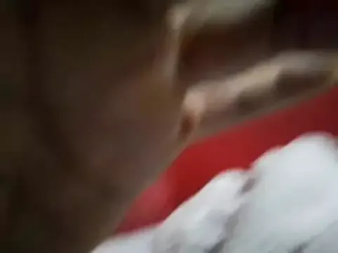 Siegfri3d__ — Travel to USA